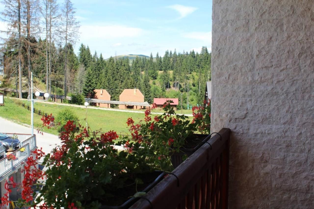in hotel zlatar