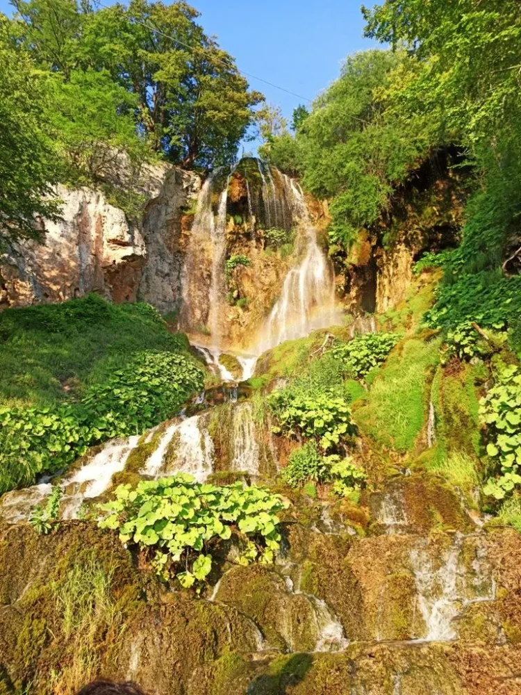 slapovi sopotnice